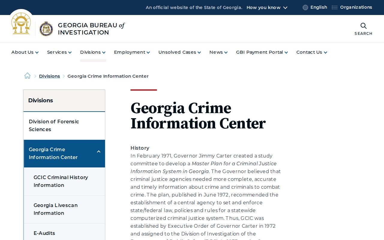 Georgia Crime Information Center criminal history overview